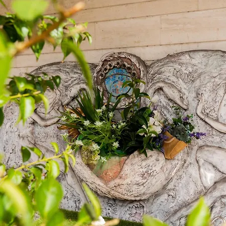 Vandelli Павулло-нель-Фриньяно