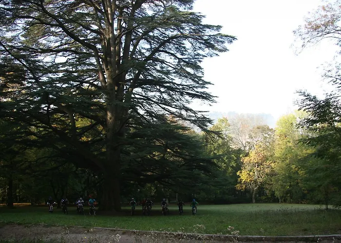 Vandelli 3* Pavullo nel Frignano